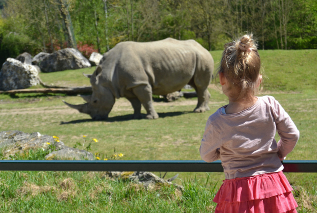 Territoire de la Savane Africaine avec rhinocéros blanc