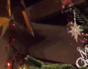 Mon Sapin 2013 27