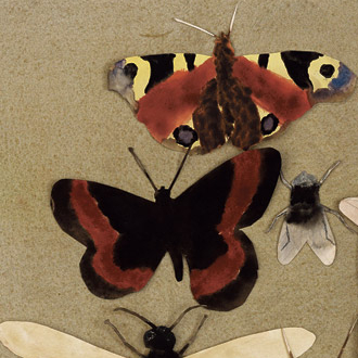 Expo Fotokino Norrsken Lueurs du nord