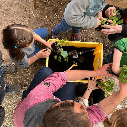 De ferme en ferme : édition 2023 en Haute-Garonne