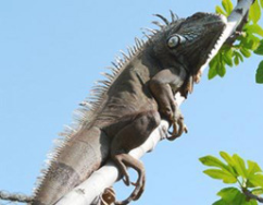 Parc zoologique de Fréjus