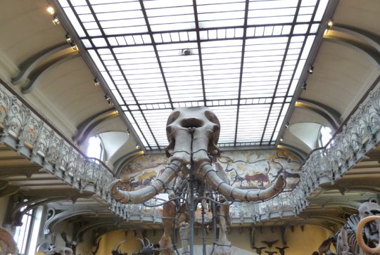 age de glace CK event 4