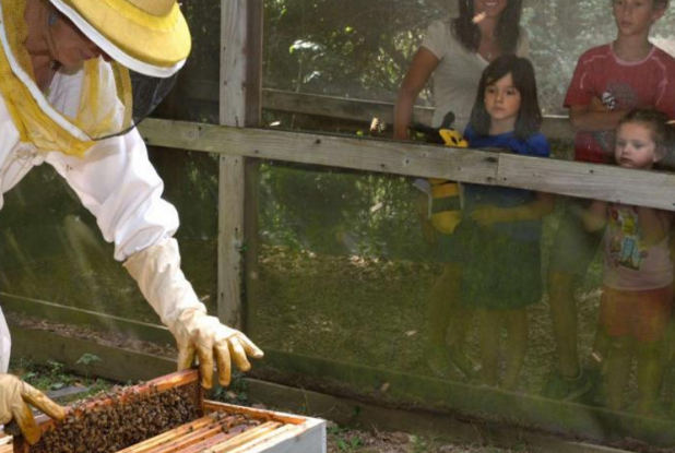 La Folie de Finfarine - artisanat