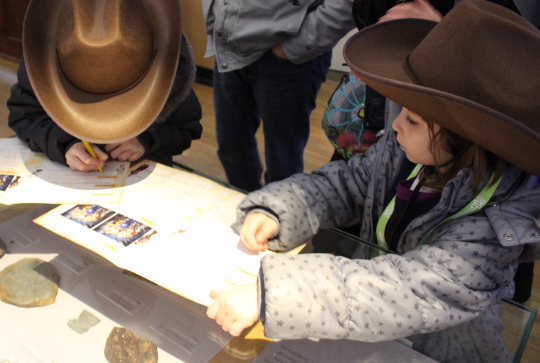 Parcours jeu La Nuit au Musée au Muséum d'Histoire Naturelle de Nantes : 6