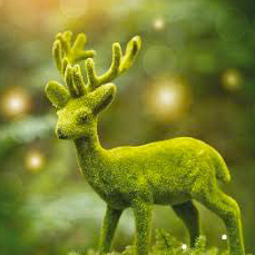 Pousse Pousse Cinéma