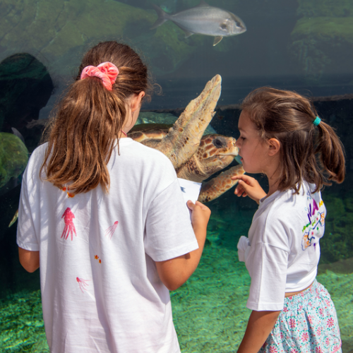 Musée océanographique de Monaco : Deux petites filles observent une tortue de mer