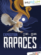 Expo Rapaces au Muséum de Toulouse
