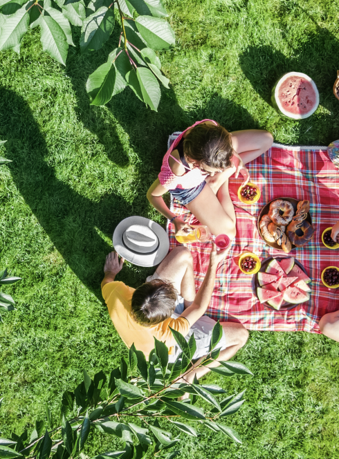 Top des parcs pour une pique-nique à Montpellier