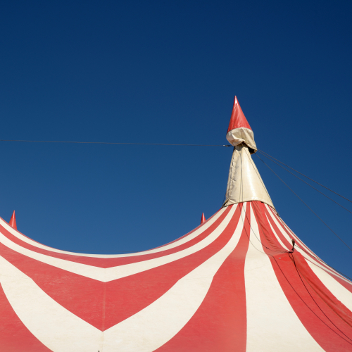 Découvrez l'histoire du cirque