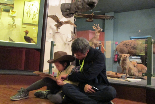 Nuit au Musée au Muséum de Nice : 5