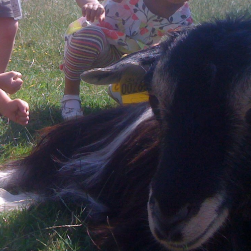 Ferme de la Ranjonnière