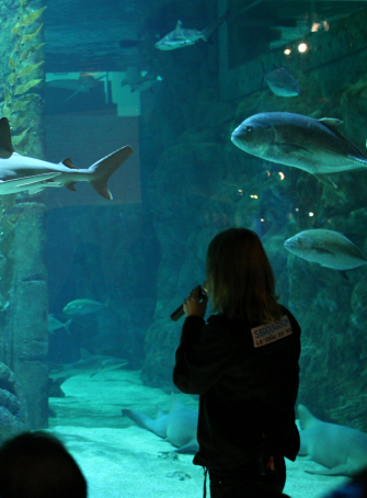 Les vacances de la Toussaint au Seaquarium