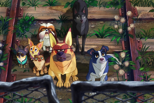 Nous, les chiens : les chiens sur des rails de train