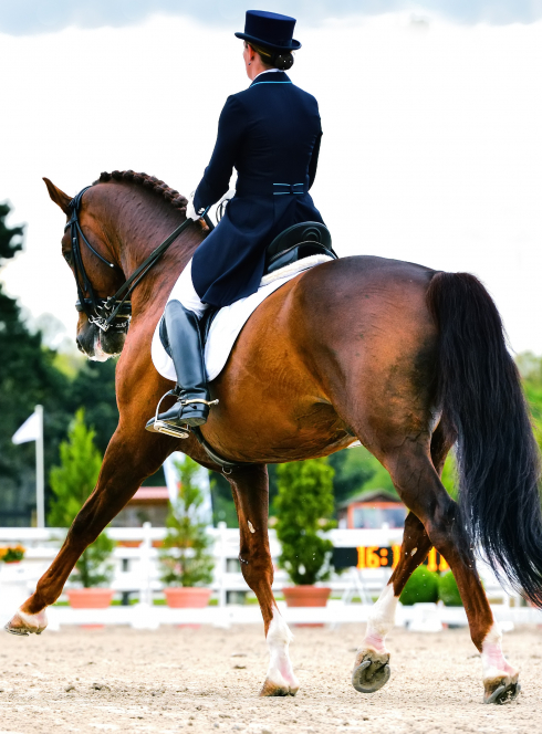 Couverture Jumping 2023