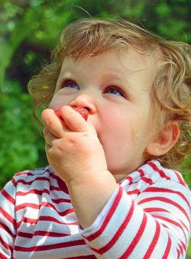 Top des cueillettes près de Lyon