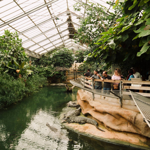 La ferme aux crocodiles