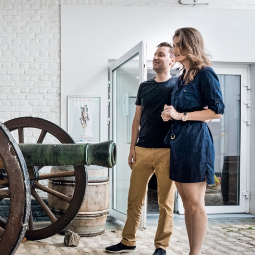 Musée Wellington : canon