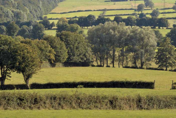 Bocage de l'Avesnois