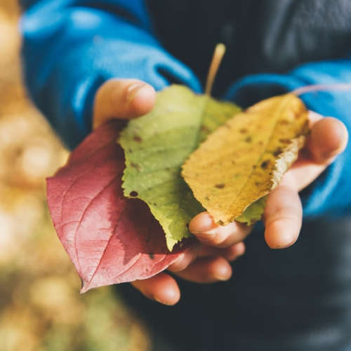 Salon Bio & Co d'automne 2019 à Strasbourg