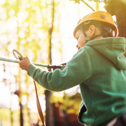 Cover top parcs aventure Strasbourg