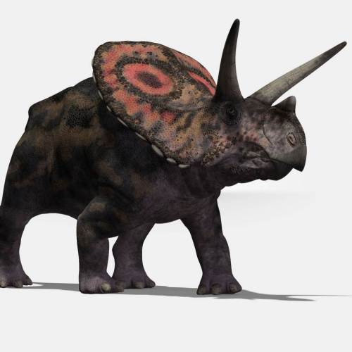 Fantastiques Dinosaures
