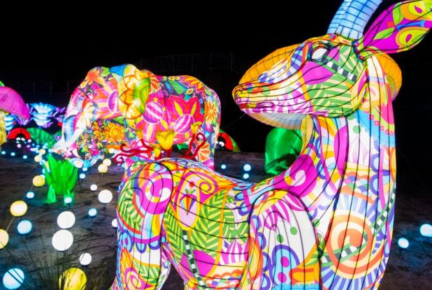 Festival Luminescences