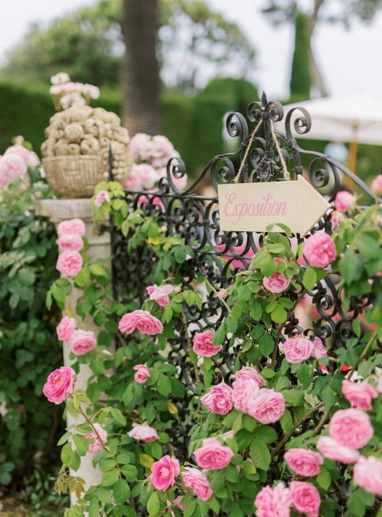 Fête des Roses et des Plantes : Exposition
