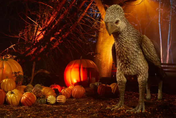 Harry Potter : L'expérience en forêt interdite à Montauban