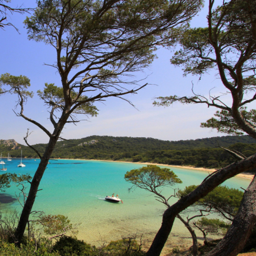 Plage de Porquerolles