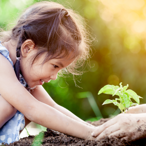 48h de l'agriculture urbaine Strasbourg