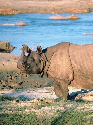 Zoo du Bassin d'Arcachon