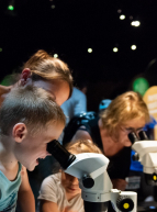 Exposition "Mini-monstres, les invisibles" : enfant regarde dans un microscope