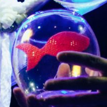 L'idole des petites Houles - La Toute Petite Compagnie