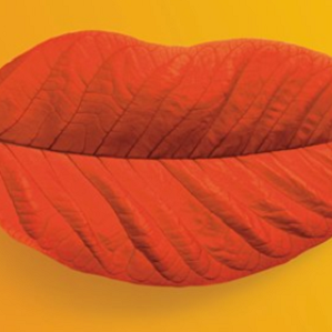 Foire d'Automne 2019