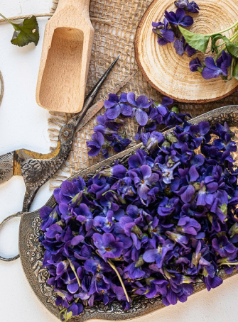 La Fête des Violettes est de retour