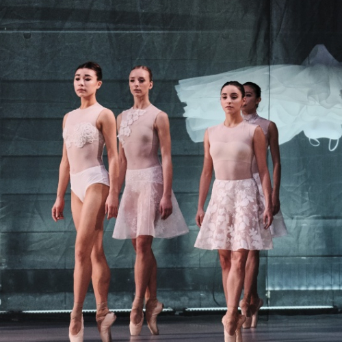 Le Lac des cygnes - Ballet de l'Opéra national du Rhin