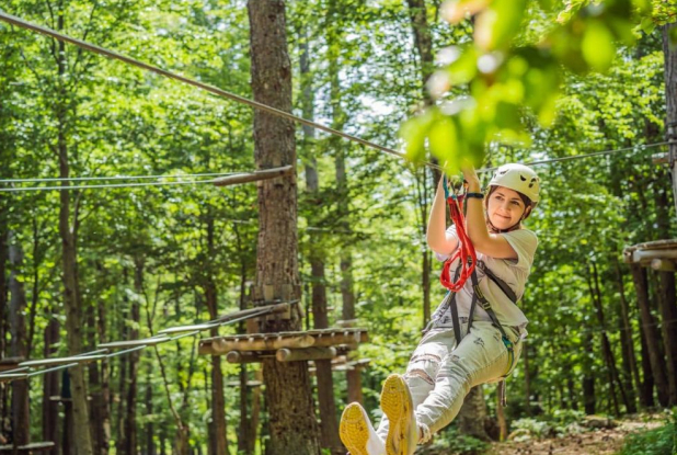 Tree Experience - Tyrolienne