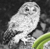 Expo Aller Dehors - La Criée