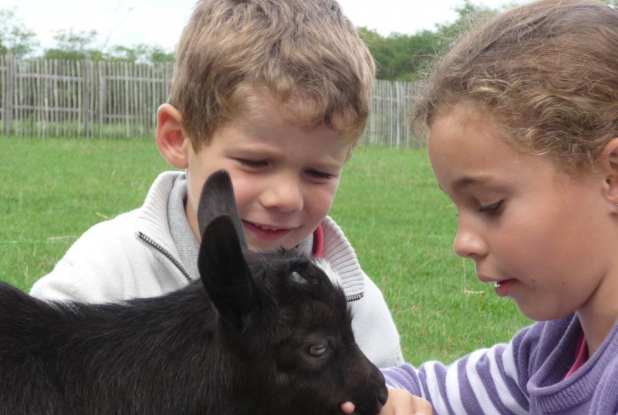 Ferme de la Ranjonnière : enfant et animaux