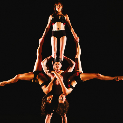 Circa - Wunderkammer - Villette