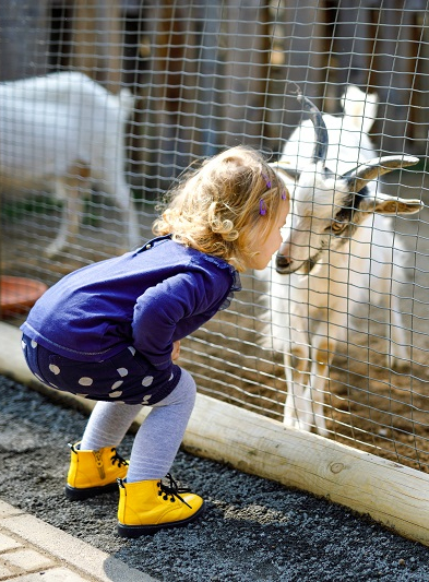 Top des fermes pédagogiques près de Clermont