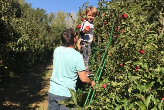 Les Vergers de Saint-Jean