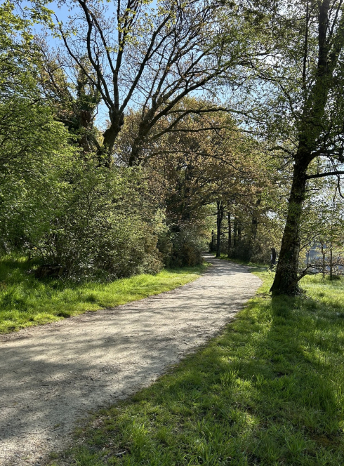 Festival de la biodiversité en Brocéliande