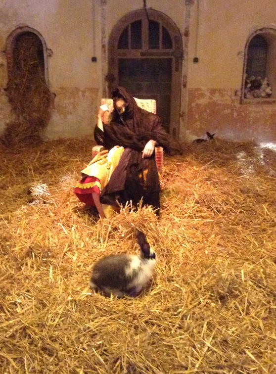 Biennale du Fort de Bron - Don Quijote (8)