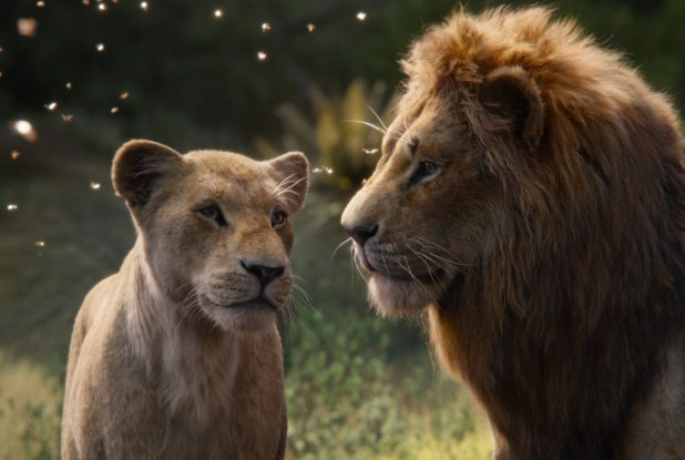 Le Roi Lion, le film - Nala et Simba sous les étoiles