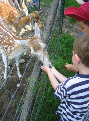 Enfants au zoo