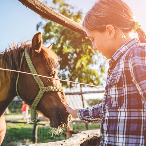 La Route des Langues