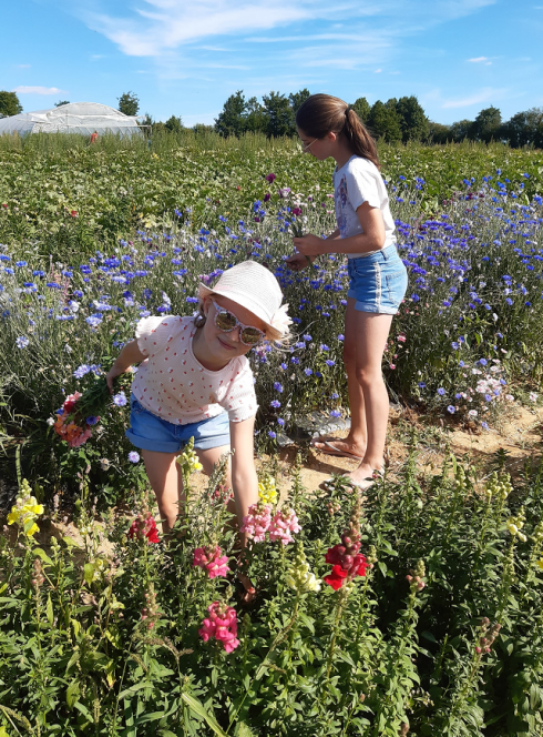 La Cueillette du Tronquoy : Deux petites filles cueillent des fleurs