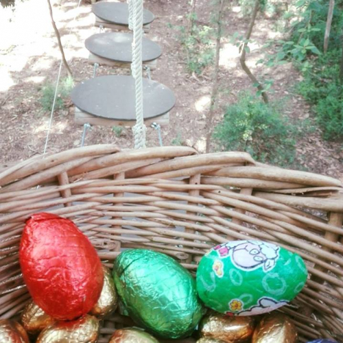 Chasse aux oeufs foret d'acrobates