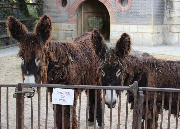 Muséum d'histoire naturelle - Ménagerie